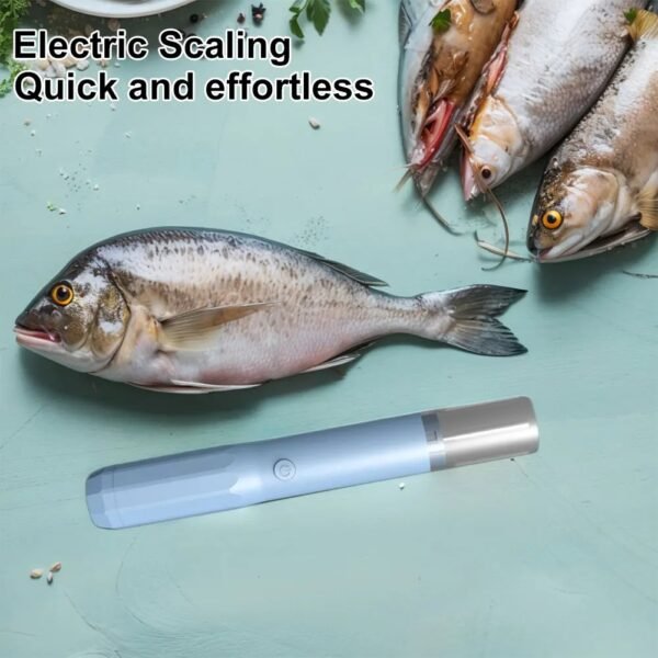 Fish Scale Remover 🐟✨
